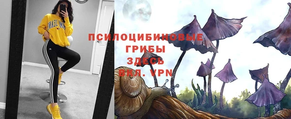 тгк Армянск