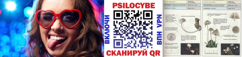 Псилоцибиновые грибы прущие грибы  кракен ссылки  Чадан 