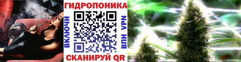 Бошки марихуана семена  Чадан 